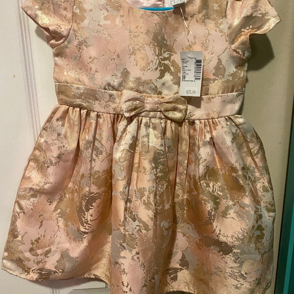 NWT! Beautiful Pink & Gold 3T Dress!